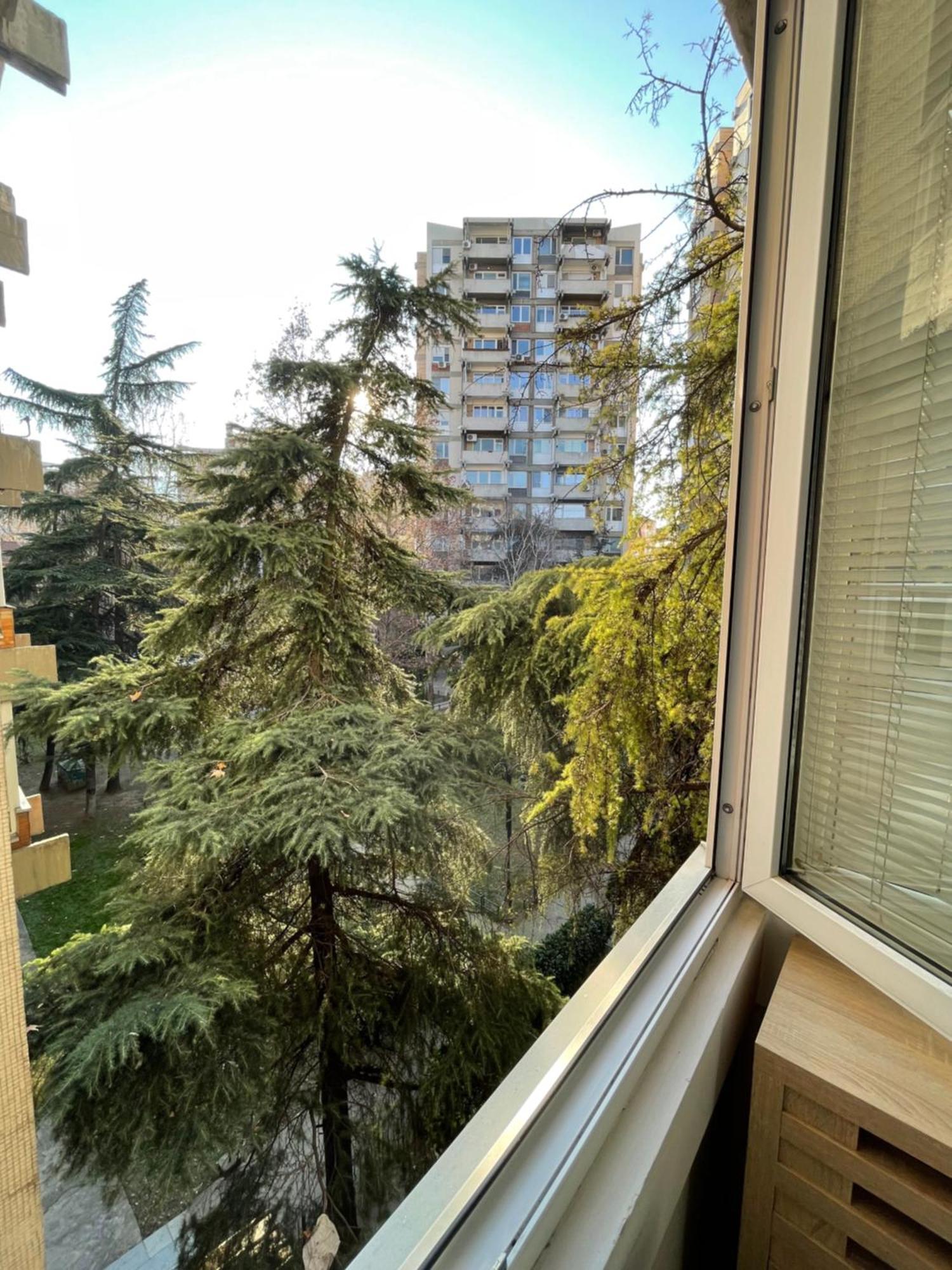 Ruby Luxury Central Apartment 斯科普里 外观 照片
