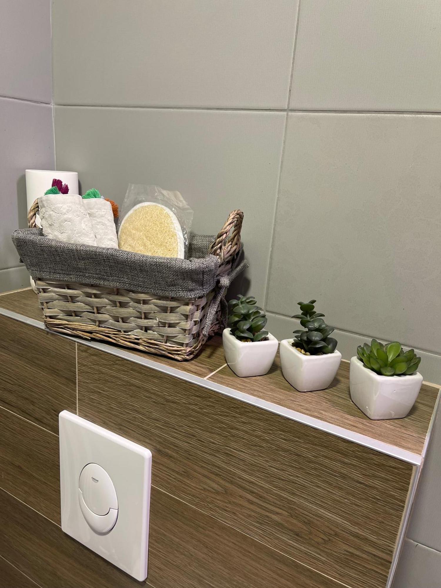 Ruby Luxury Central Apartment 斯科普里 外观 照片