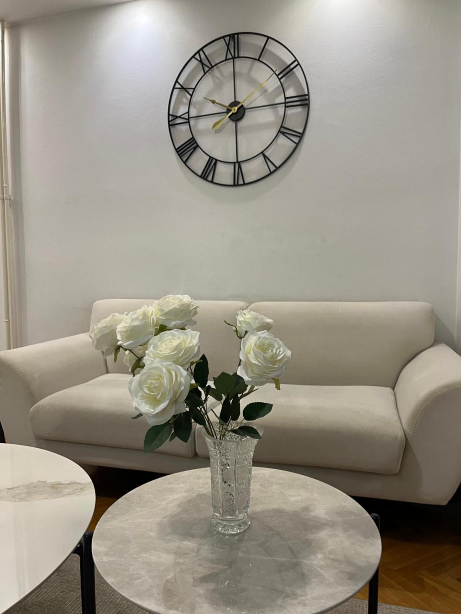 Ruby Luxury Central Apartment 斯科普里 外观 照片